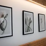 Terra Vivaz - Porto Bay *