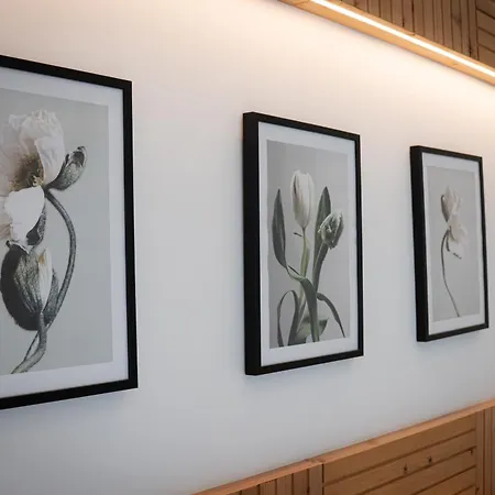 Terra Vivaz - Porto Bay *