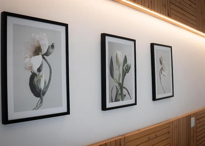 Terra Vivaz - Porto Bay *